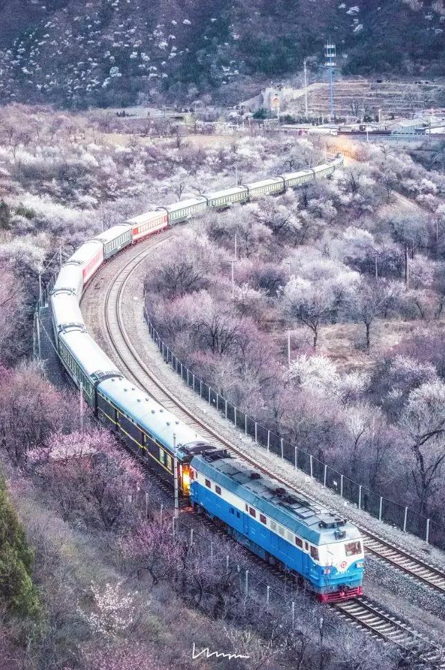 戴口罩的春节,戴口罩的冬天过去了