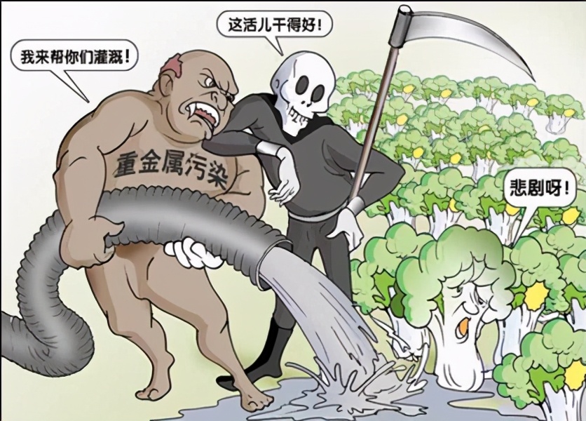 有机蔬菜是不是智商税,为什么说有机蔬菜是交智商税