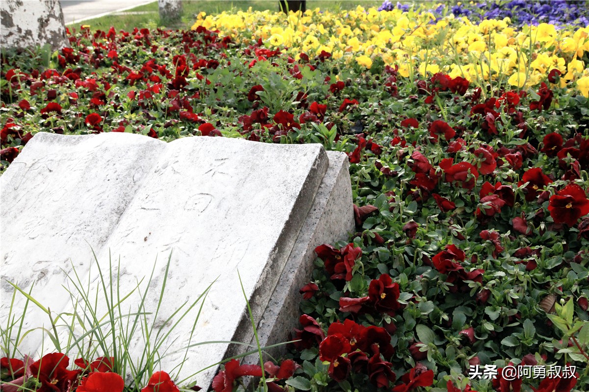 全国百强高中苏州有几个,苏州实验中学科技城校区