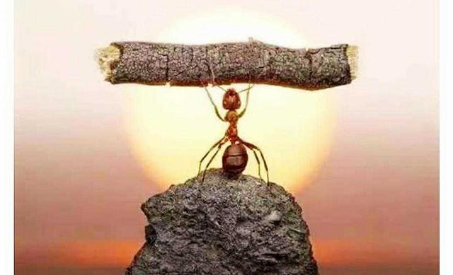 失落的百年致富圣经,失落的百年致富圣经和24堂课