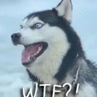 夏天的水也太烫了?!这澡我该怎么洗