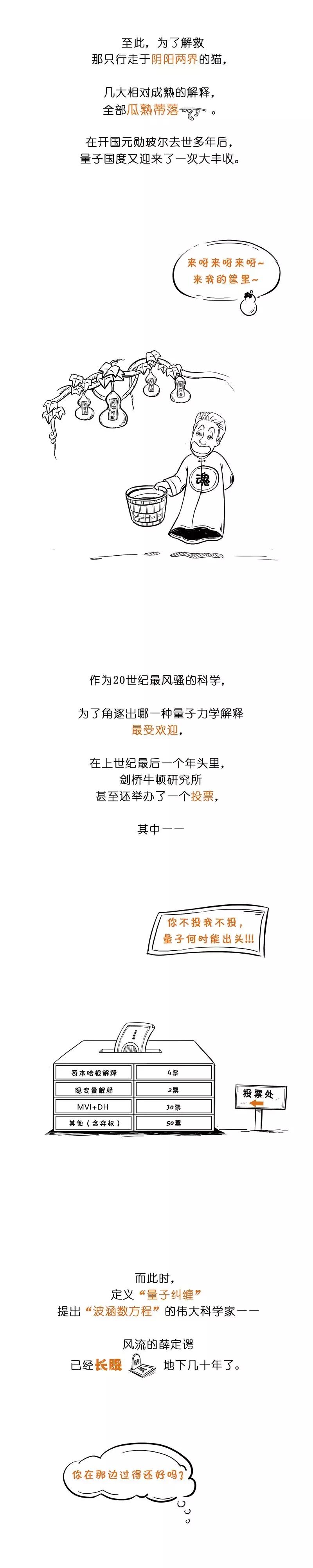 薛定谔的猫最简单最直白的解释,薛定谔的猫和杨氏双缝干涉实验