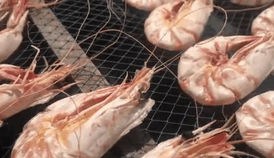 补肾健脾固精的海产品都有哪些呢,温肾固精的食物有哪几种