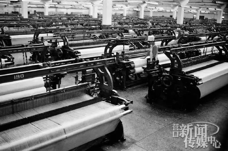 穿越40年感受南山之美,穿越四十年的旅行