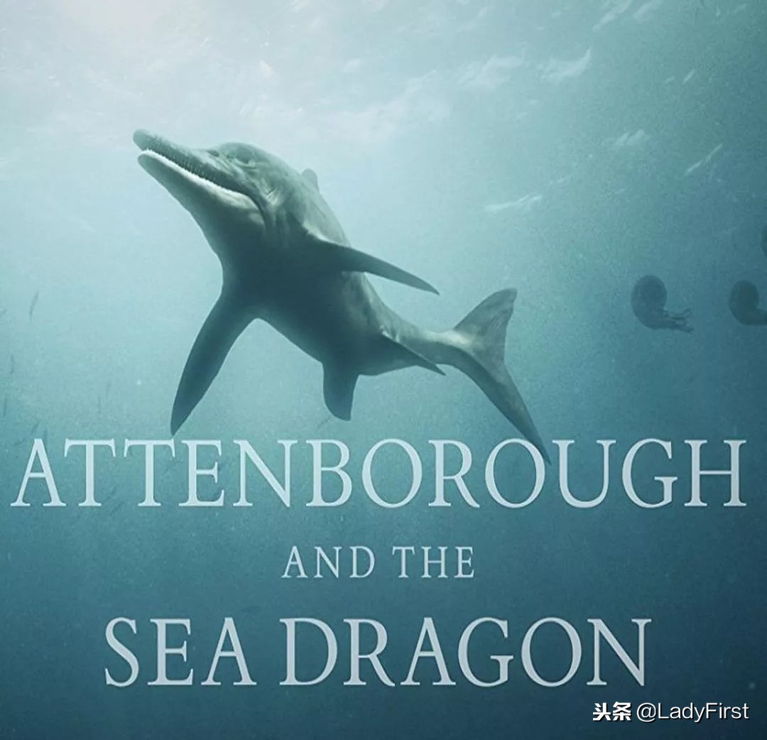 提升女孩子气质的纪录片,女性提高见识的电影