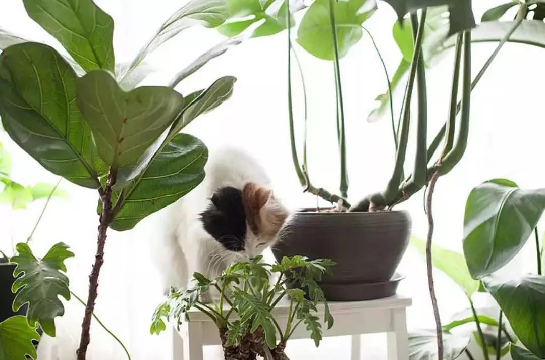 小夫妻98㎡家意外走红！登北京地铁广告，这个家才是都市里的奢侈