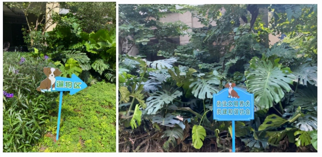 踩盘日记石家庄,踩盘日记第13天