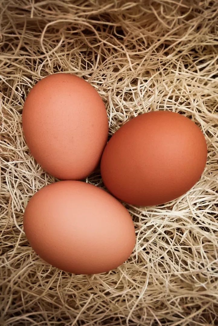 寒假视力养护项目备战,寒假是保护视力的一个黄金时期