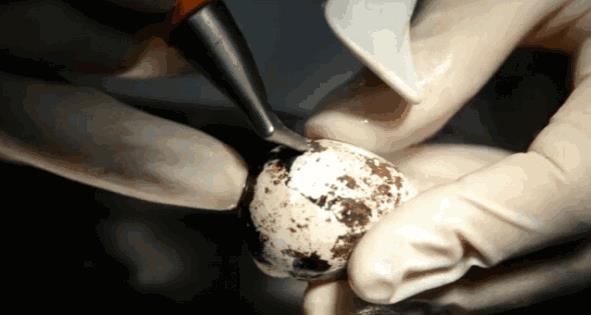 洗牙对牙齿的伤害有多大,喷砂洗牙会伤害牙吗