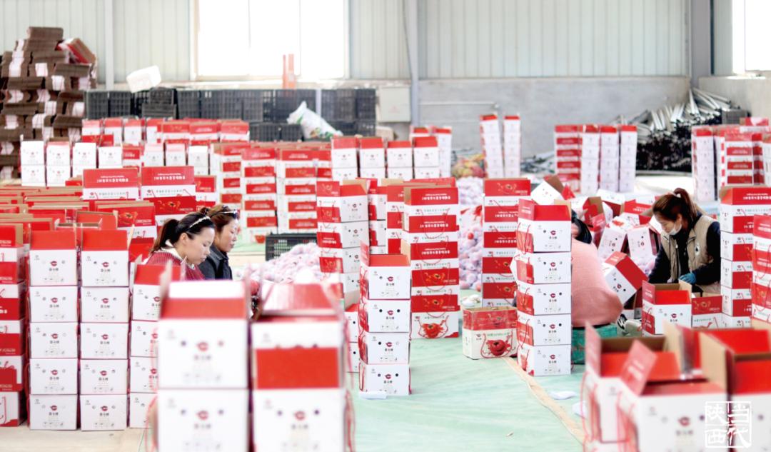 泾阳现在的蔬菜,疫情之下菜篮子工程面临的问题