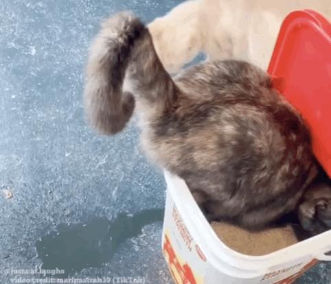 男言之隐怎么样,男言之隐介绍