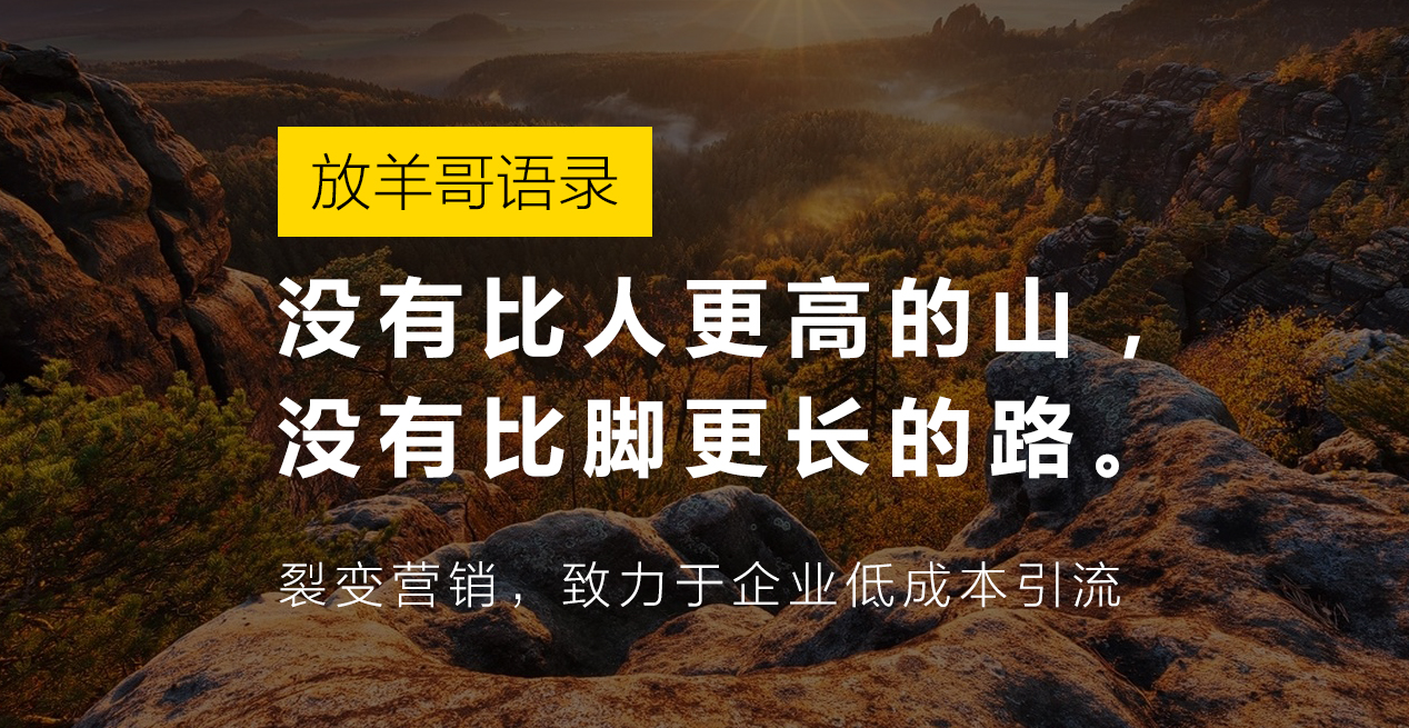 《裂变营销》：社群营销运营方案步骤，不一样的营销思路！