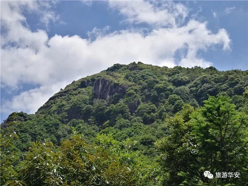 春风十里不如你,我在华安等着您