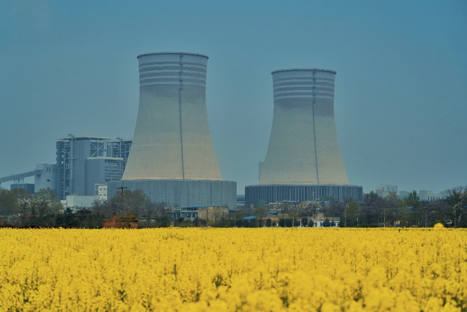 临潼油菜花海美景,阎良石川河哪里有油菜花
