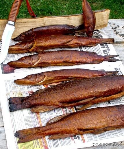 如果在野外没有水和食物怎么办,夏天无冰箱如何保存肉类