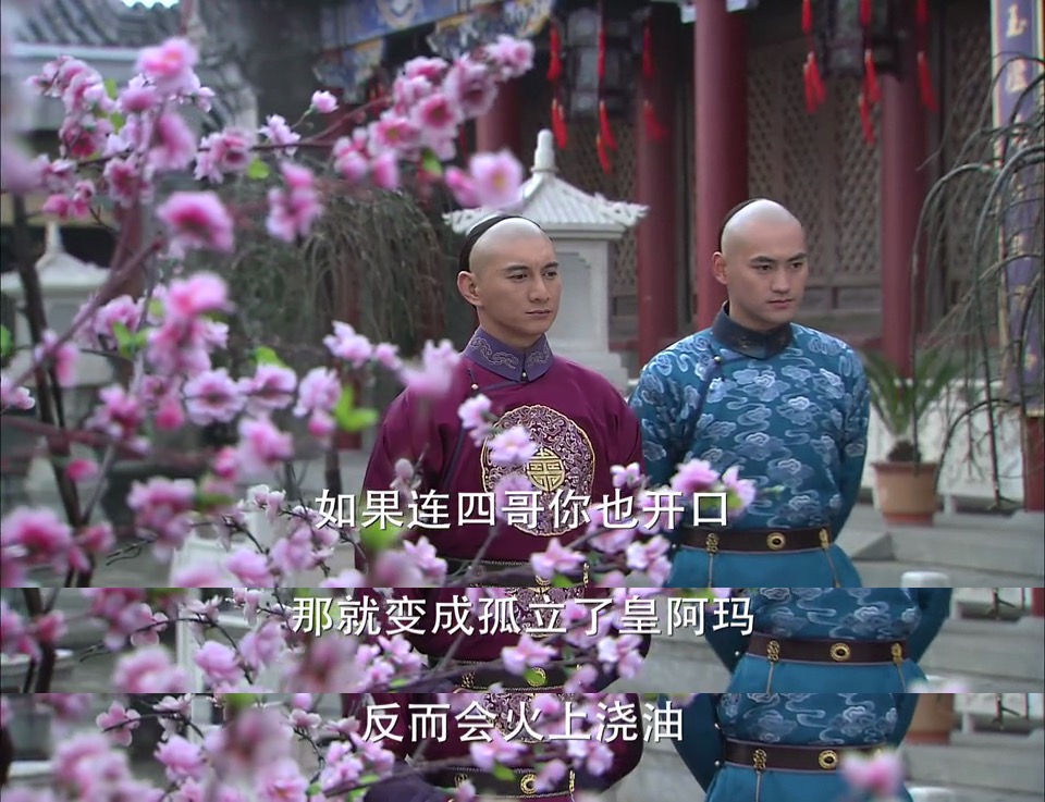 步步惊心十三揍老九,步步惊心为十三求情多少集