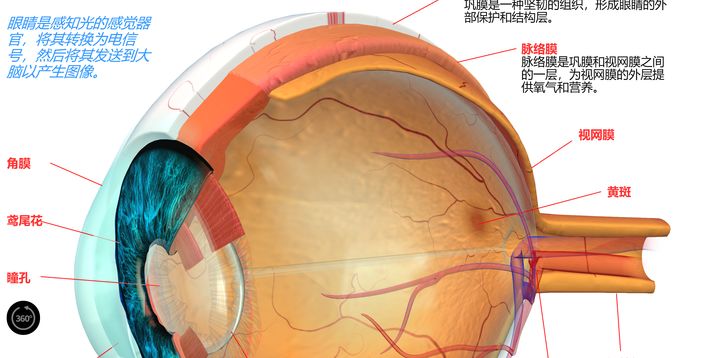 超实用的五大必备网站有哪些,10个良心实用网站推荐终身受用