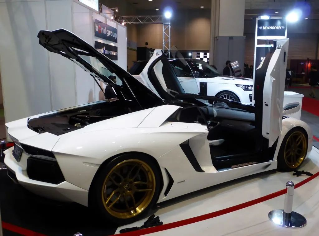 国外马力最大的车,全球公认最好的十大车