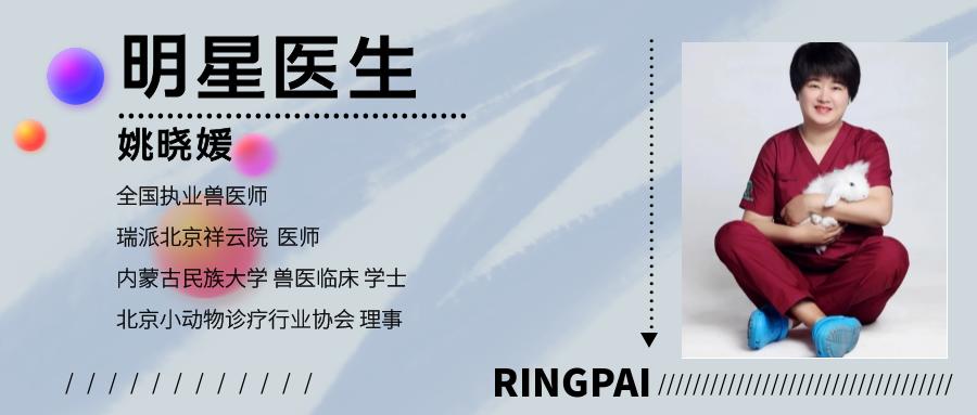 宠物兔生病了但没有医院怎么办,宠物兔感冒自愈要多久