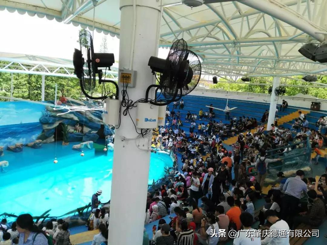 德通风扇-案例分享|广州长隆野生动物园加持德通雾化风扇