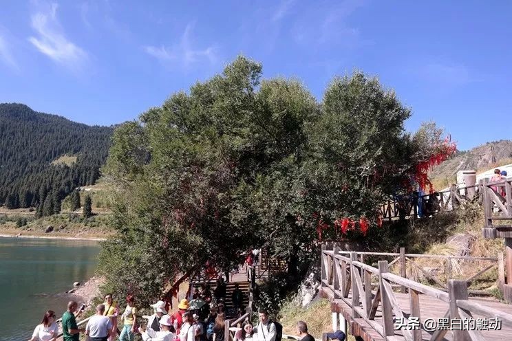 都说新疆好去新疆发展可靠么,都说新疆好地方