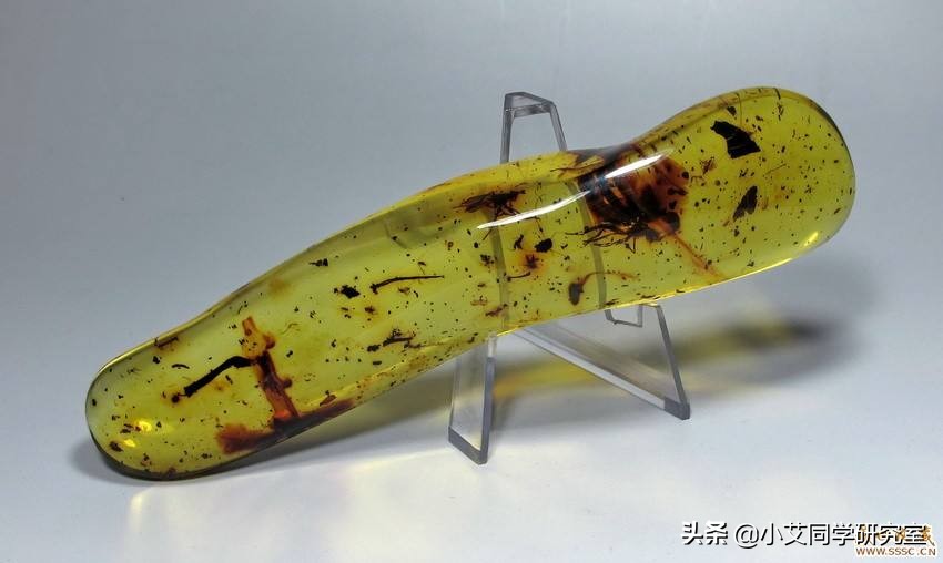 世界上要怎样才能重新复活恐龙,用琥珀复活恐龙动画