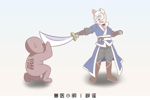 作为狗界泥石流，哈士奇当真这么笨？辟谣：服从性不等于智商