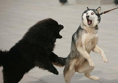 和三个不同女生分手恶搞爆笑,奇葩分手搞笑方式