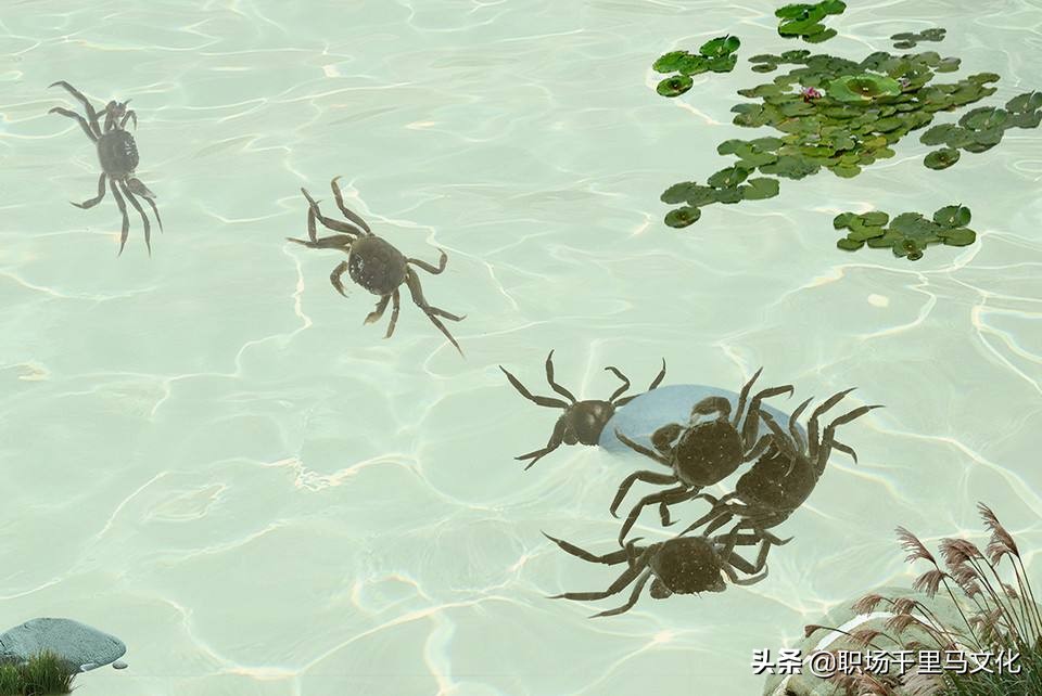 管理团队六大禁忌,论如何做好团队中层管理者