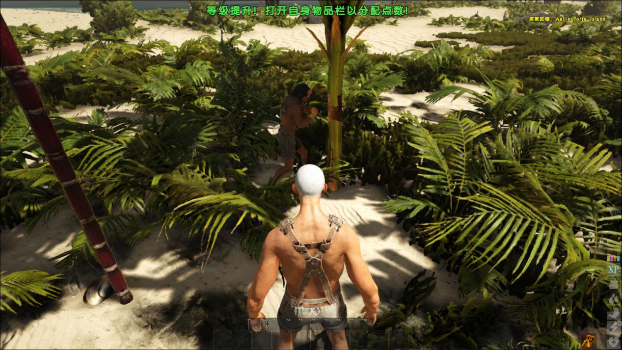 海盗游戏atlas配置,海盗游戏atlas的优缺点