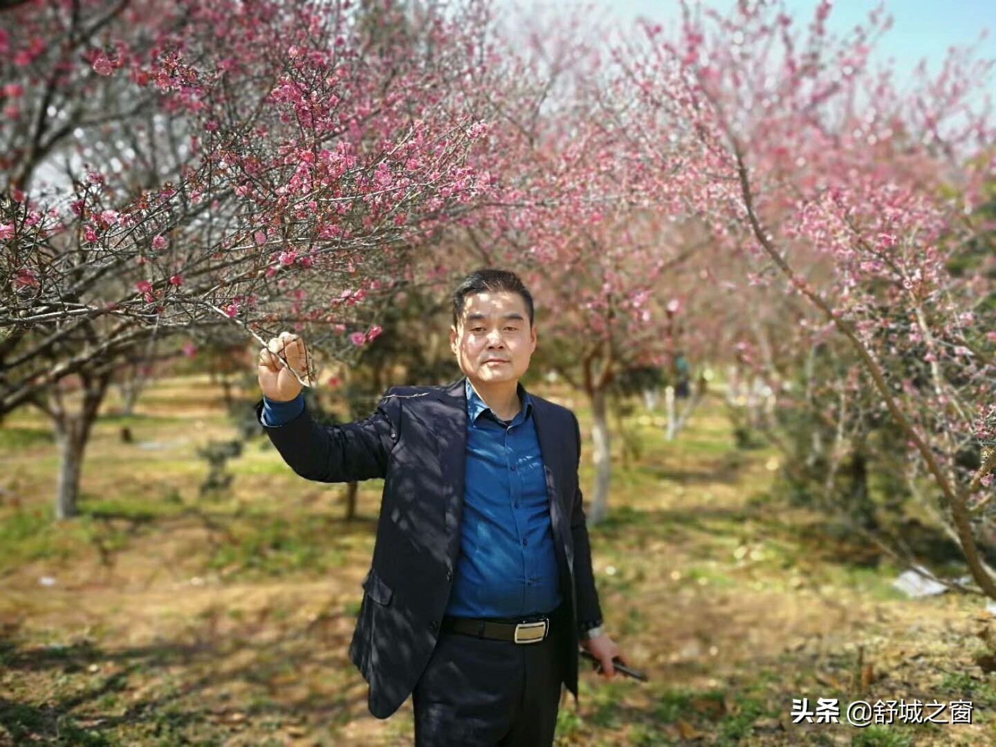 舒城绿兰园捐款 (舒城绿兰园)