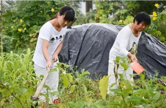 河南特岗教师竞争激烈吗,河南特岗教师计划2020年名额分配