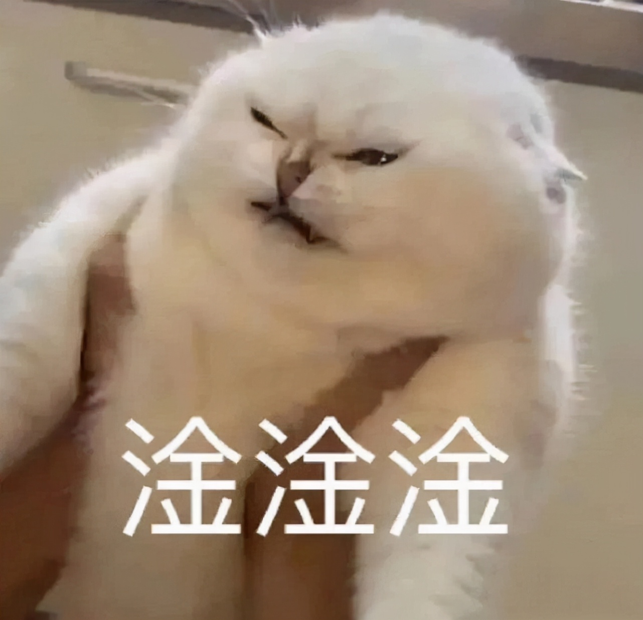 十则笑话老婆,做女婿的幽默笑话