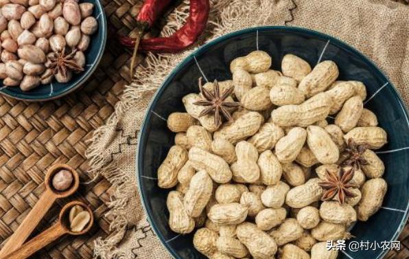 农村小成本创业适合做什么行业,创业娶媳妇