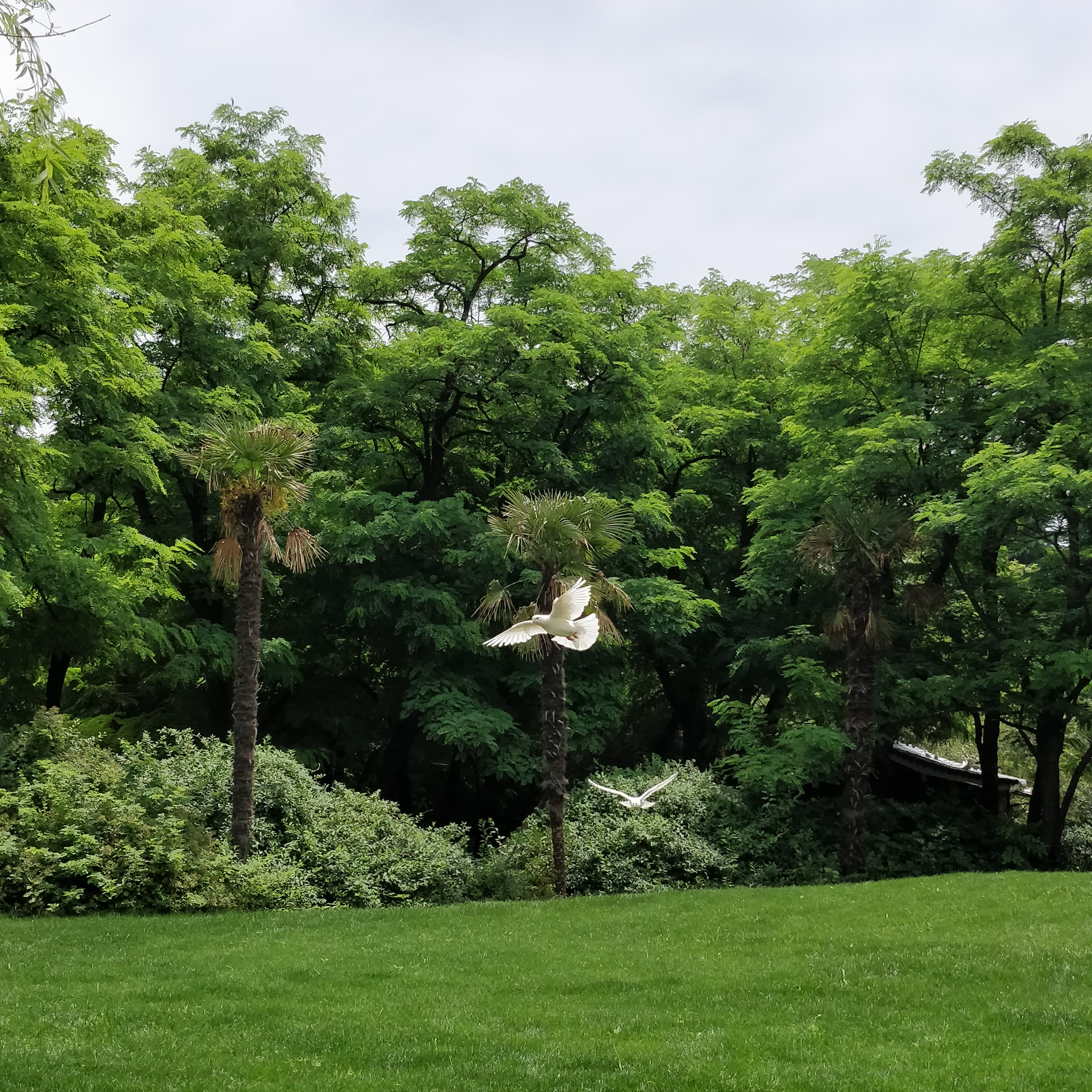 淮北相山公园相山之巅,我眼中的公园范文