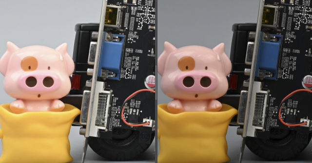 尼康Z50深度评测,尼康z50评测打鸟