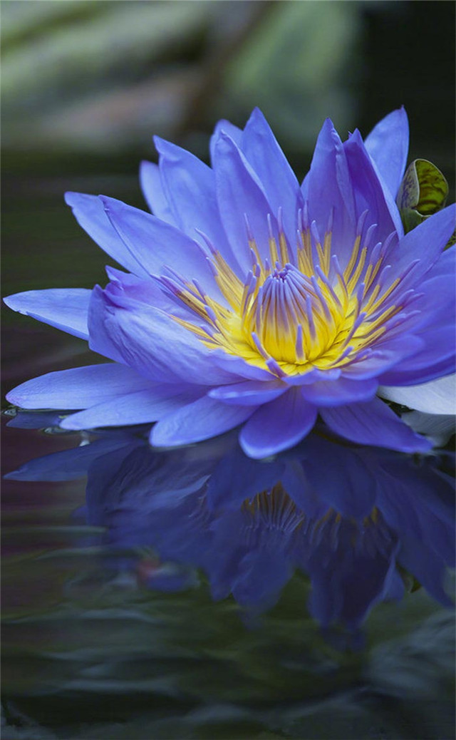 缓解眼睛疲劳壁纸颜色,缓解眼睛疲劳的壁纸高清