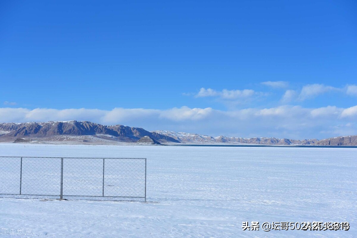 一张婚纱照背后的真实故事,一组婚纱照背后的故事