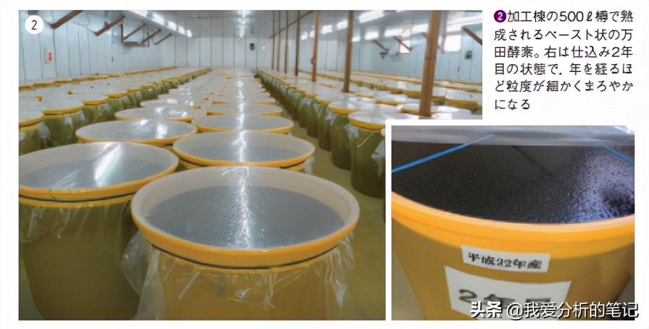 酵素的市场需求和痛点,酵素产品价格现状与预测