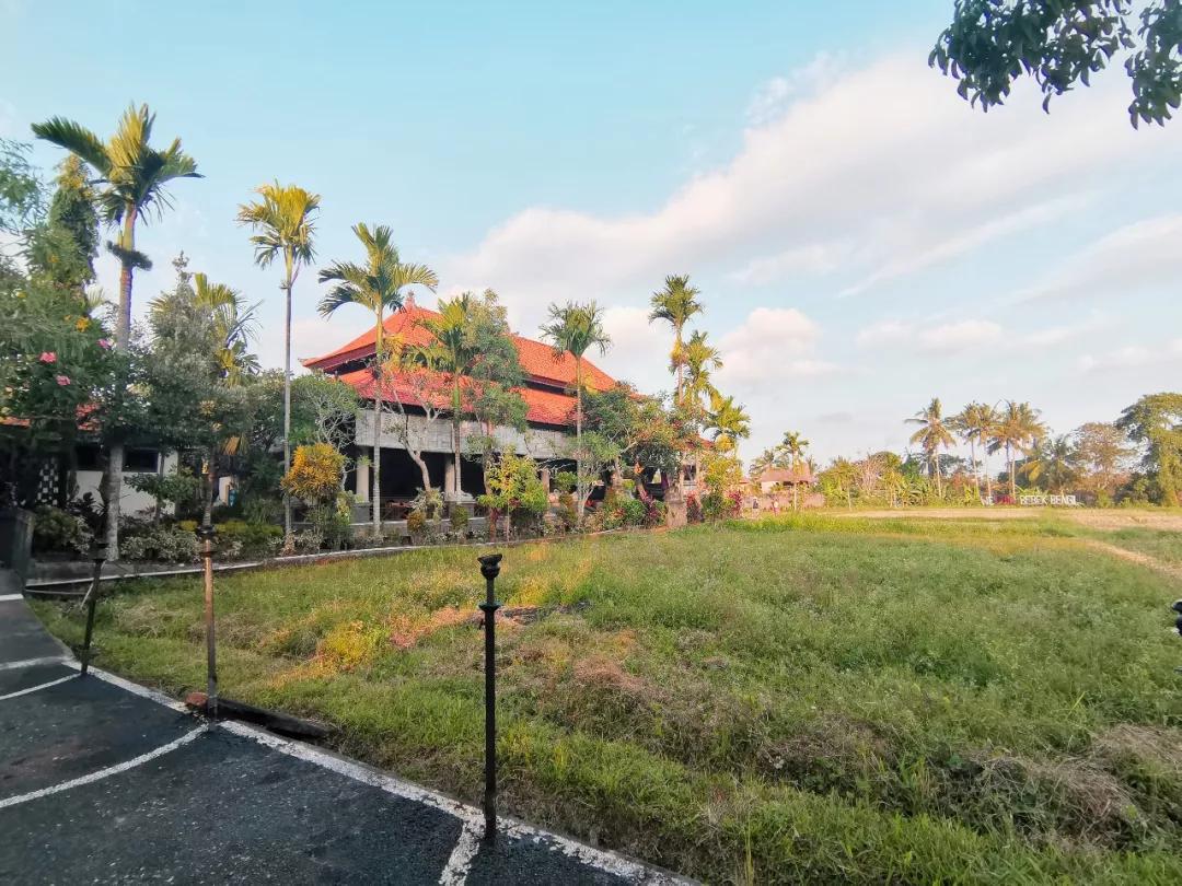 巴厘岛旅游必打卡,巴厘岛六天五晚游