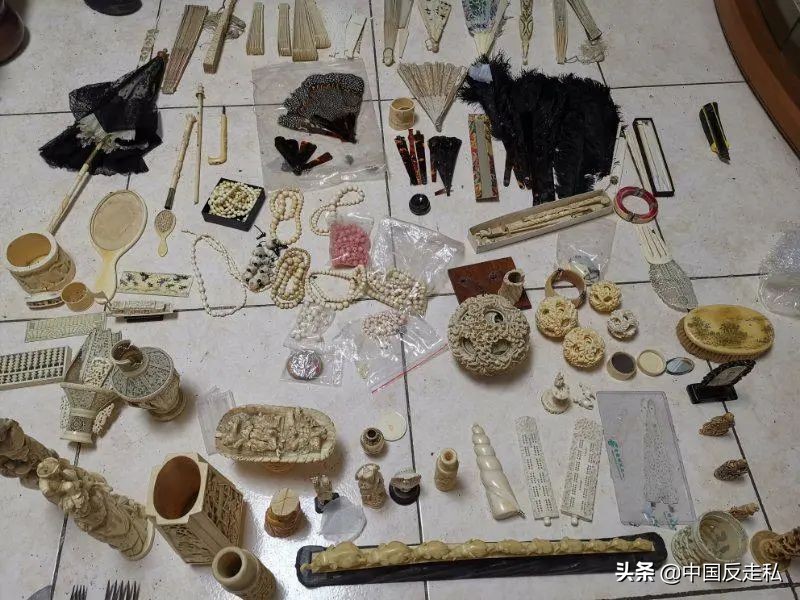 大象象牙没了影响大象生命吗,带有象牙的大象灭绝了吗