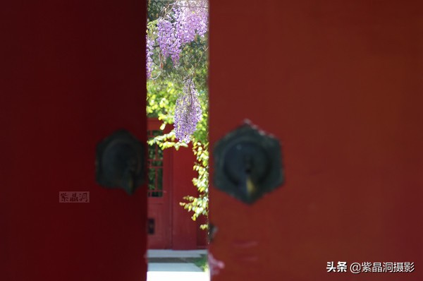 北京大学有哪些景观,北京大学为什么那么出名