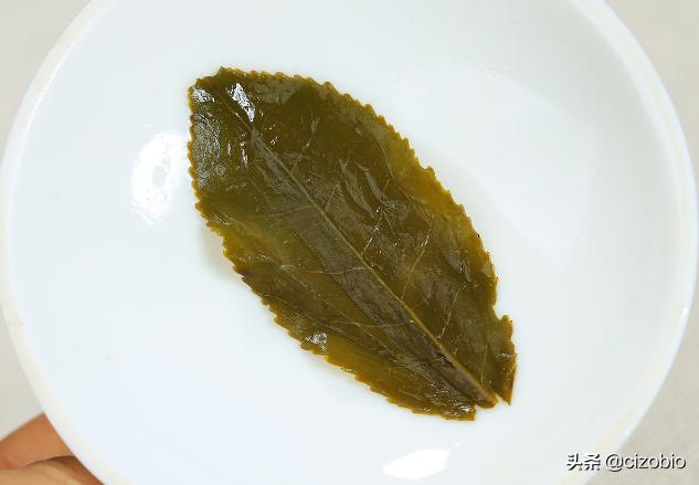 除了福建哪还有铁观音,安溪四大名茶哪个最好