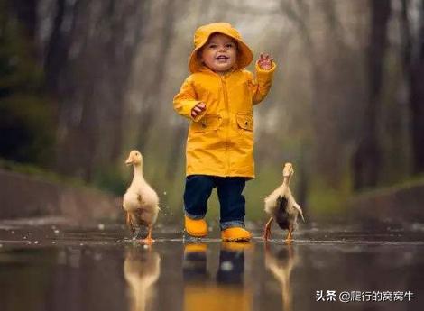 小壁虎断尾巴的生活常识,小壁虎断尾自救是什么常识