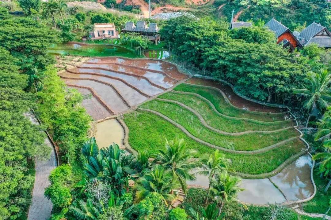 西双版纳3000家酒店，怎么选体验感才最好？