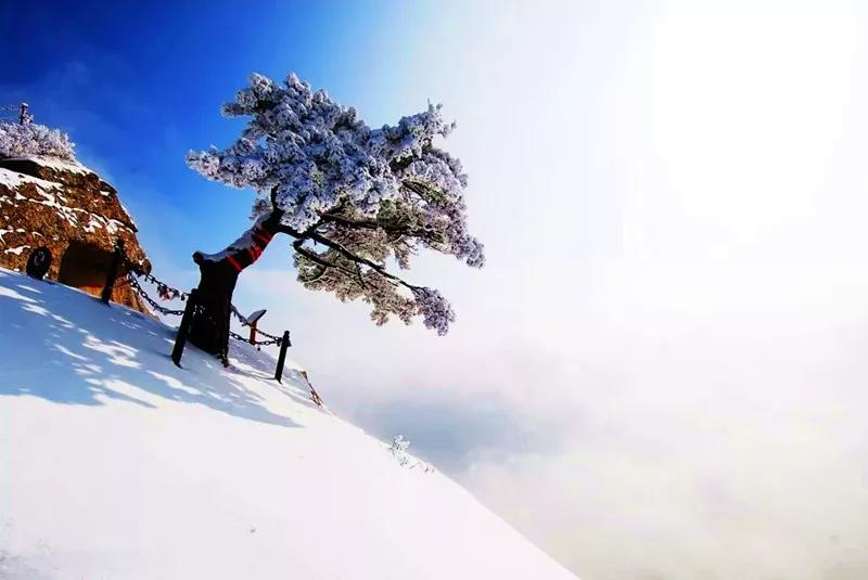 元旦将至迎接2020年,元旦来临之际说说