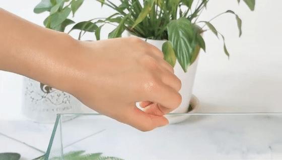 涂了隔离真的能保护皮肤吗,为什么不涂隔离底妆更服帖