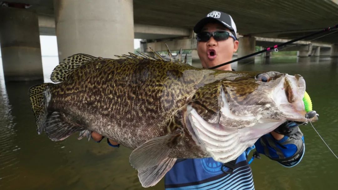 桥桩路亚鳜鱼后多久有鱼,铅头软饵钓鳜鱼手法