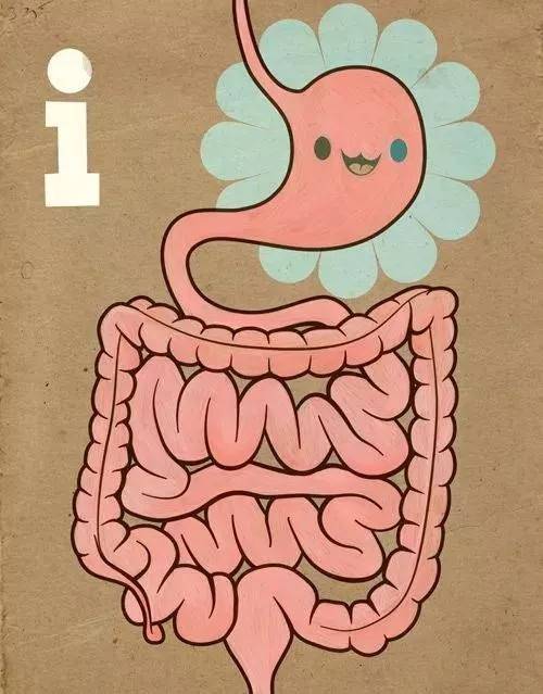 打完球接着吃饭睡觉好不好,打完球再吃晚饭好不好