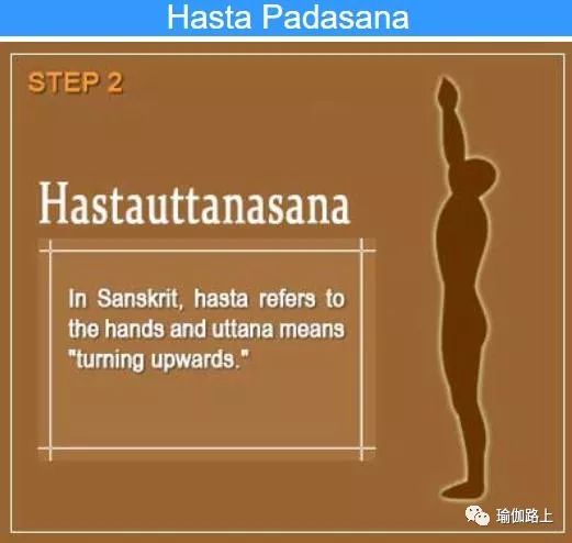 哈他瑜伽拜日式完整教程,哈他瑜伽拜日式2完整口令